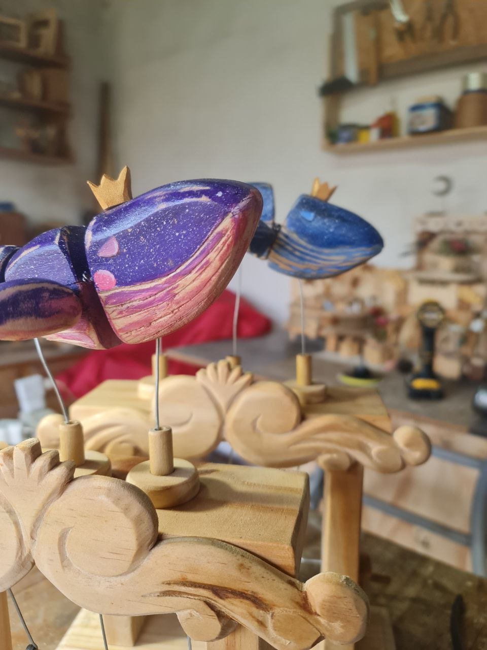 photo 5 2025 12 12 09 50 27